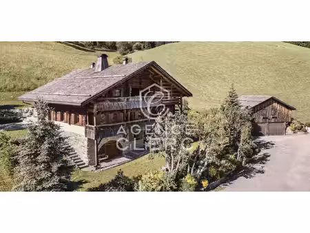 chalet la clusaz (74)