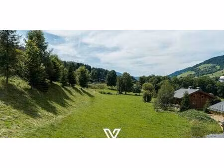 terrain avec vue panoramique demi-quartier (74)