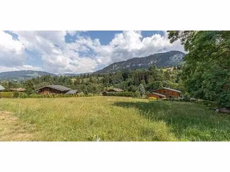 terrain megeve (74)