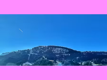 terrain praz-sur-arly (74)