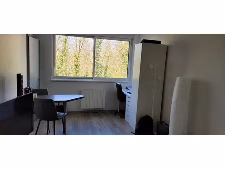 location appartement 1 pièce 27 m² à strasbourg (67000)  490 €