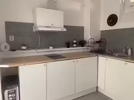 location appartement 2 pièces 39.9 m² à sainte colombe (69560)  550 €