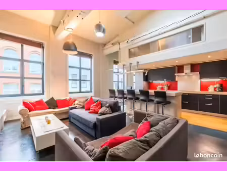 superbe loft all inclusive lille 2ch + 2 sdb ideal couple ou cadre expat