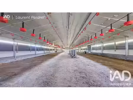 vente maison 2 pièces 1300 m² à sainte-marie (35600)  75 000 €