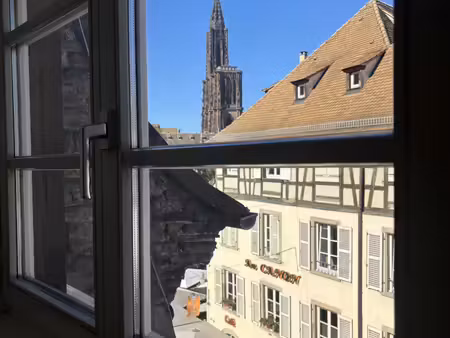 strasbourg hyper centre - f2 en duplex avec vue cathédrale