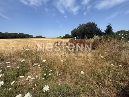 terrain constructible en campagne de peaule