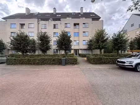 appartement à louer à pol heynsstraat 4 herentals (rbw62389)