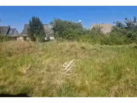 vente - terrain