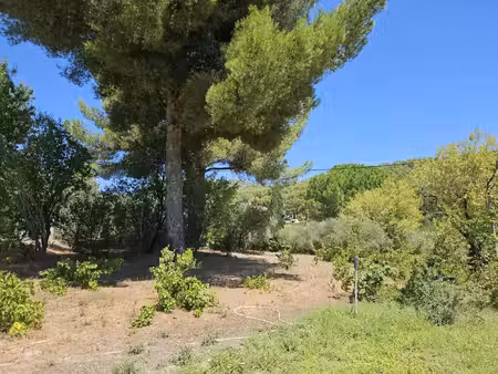 vente terrain 800 m² allauch (13190)
