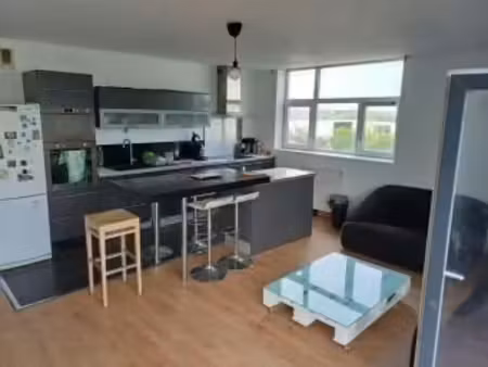 location meublée appartement 4 pièces 84 m² à lille (59000)  509 €