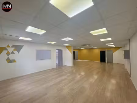 mn immobilier