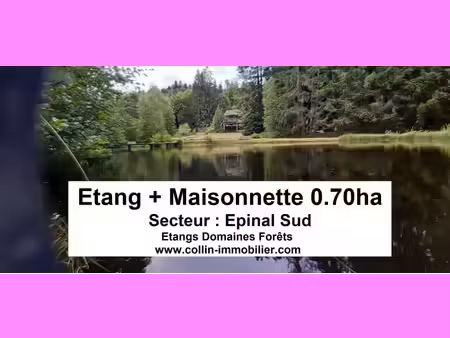 en vente terrain constructible 68 72 ares – 115 000 € |épinal