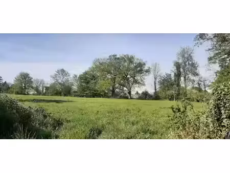 terrain constructible viabilisé à vendre