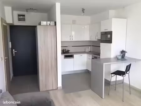 studio 1 pièce 30 m²