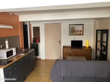 appartement meublé à mèze
