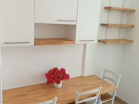 joli t1 nice centre 29m²