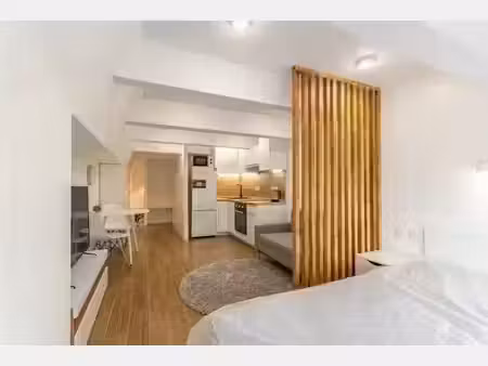 location meublée appartement 1 pièce 24 m² à lyon 6ème (69006)  550 €