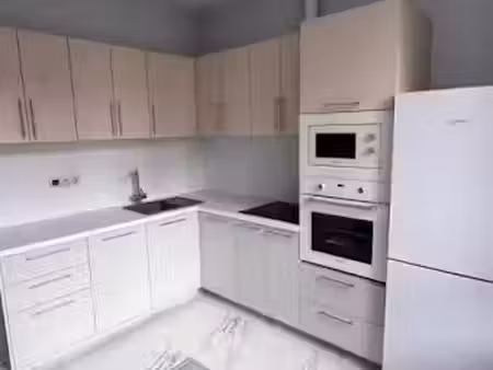 location meublée appartement 2 pièces 29 m² à lyon 7ème (69007)  550 €