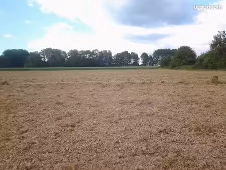 terrain 1500m2 entre clairegoutte et magny d'anigon