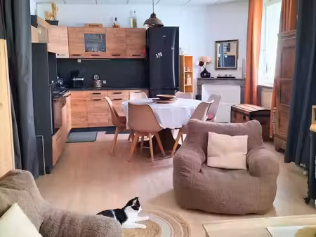 rez-de-jardin rénové avec jardin plein sud