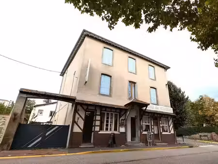 vente locaux professionnels 670 m² à saint-germain-laval (42260)  369 000 €