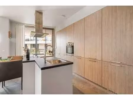 bien locatif : appartement récemment rénové avec une chambr