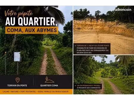 terrain à vendre - les abymes