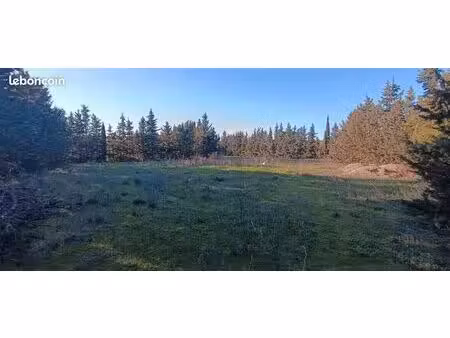 terrain agricole