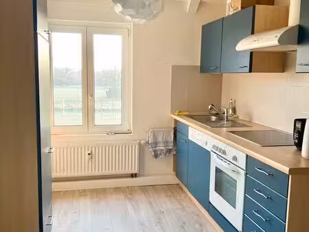 appartement 50m2 robertsau
