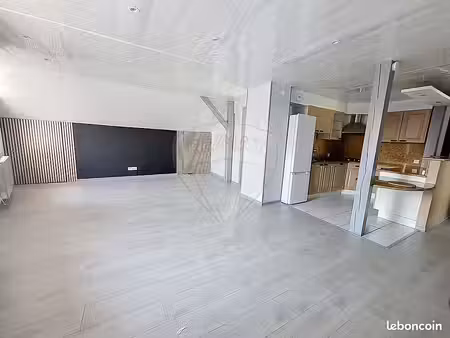 appartement 1 pièce 55 m²