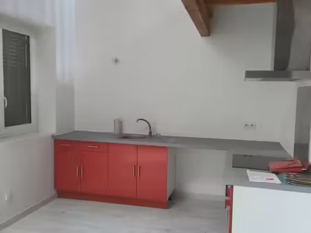 magnifique t3 avec grande mezanne
