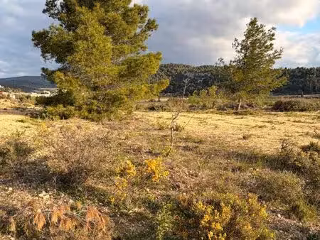 terrain loisirs / agricole