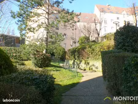 appartement 1 pièce 31 m²