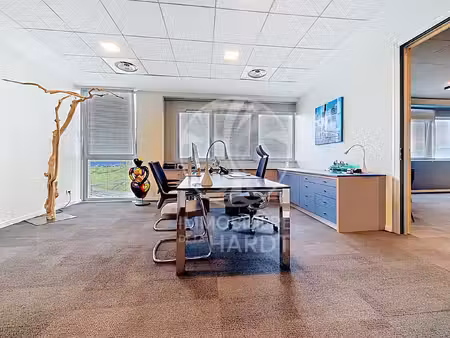 immobilier professionnel à vendre mulhouse