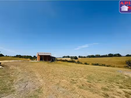 terrain