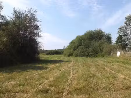 terrain à bâtir le pizou