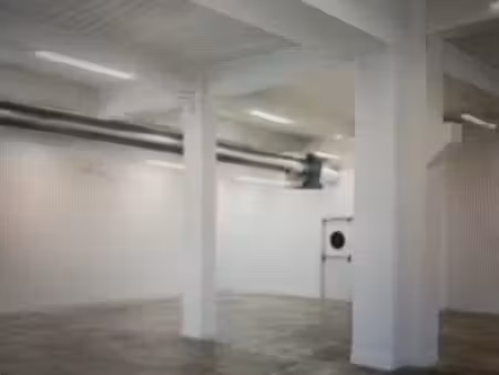 local 80m2 froges
