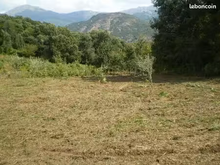 terrain constructible de 9000 m²