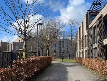 appartement spacieux et disponible - parc viteux de pinte