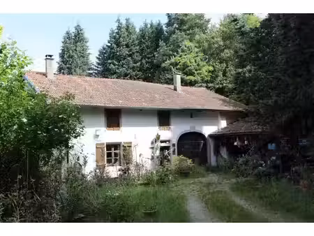 achat : maison (88520)
