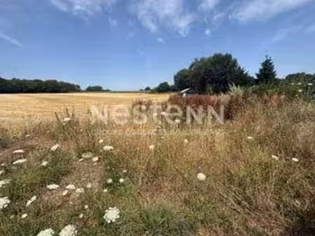 vente terrain à péaule (56130) : à vendre / 1000m² péaule