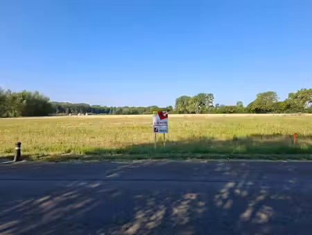 lot n° 4
