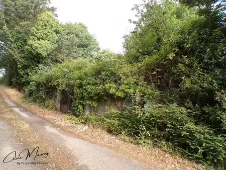 terrain à vendre