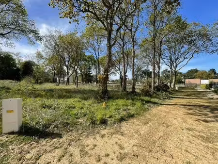 terrain constructible viabilisé à vendre