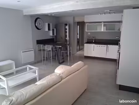 appartement t2 meublé centre ville rive gauche