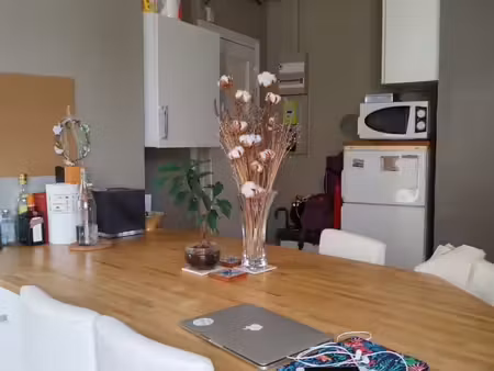 location meublée appartement 2 pièces 40 m² paris 15e