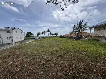terrain plat 1092 m2 à goyave (habitation ou commerces )
