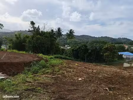 ducos beau terrain dans cadre paysager et residentiel avec vue degaee