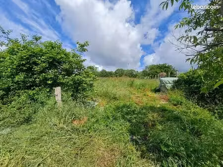 terrain 2 874 m² nieuil