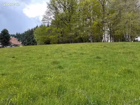 terrain à bâtir de 1774 m² à lafeuillade-en-vezie (15)